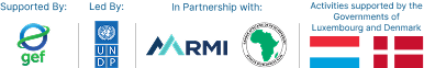 Implementing Partners